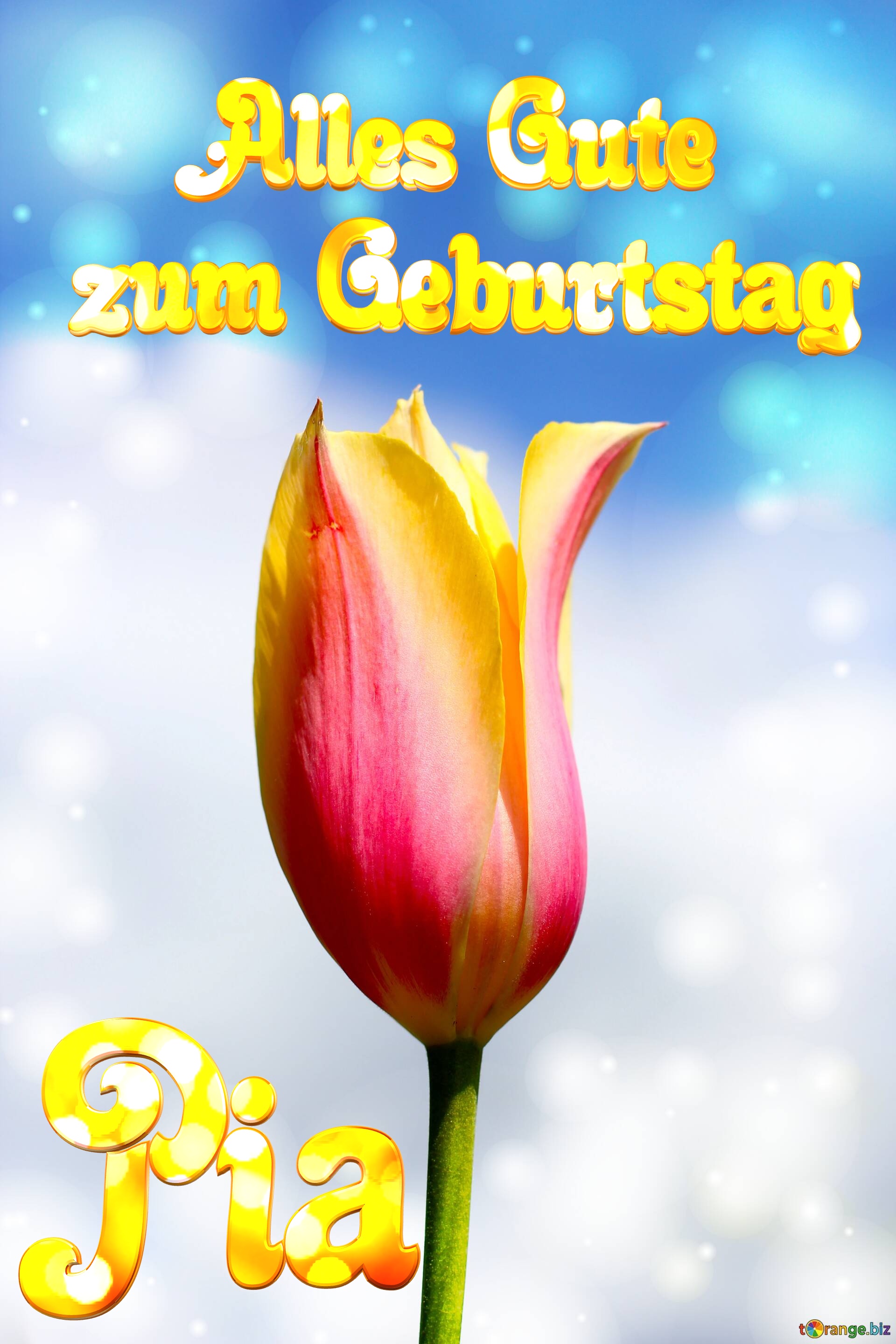Pia Alles Gute  zum Geburtstag Blume der Tulpe №0