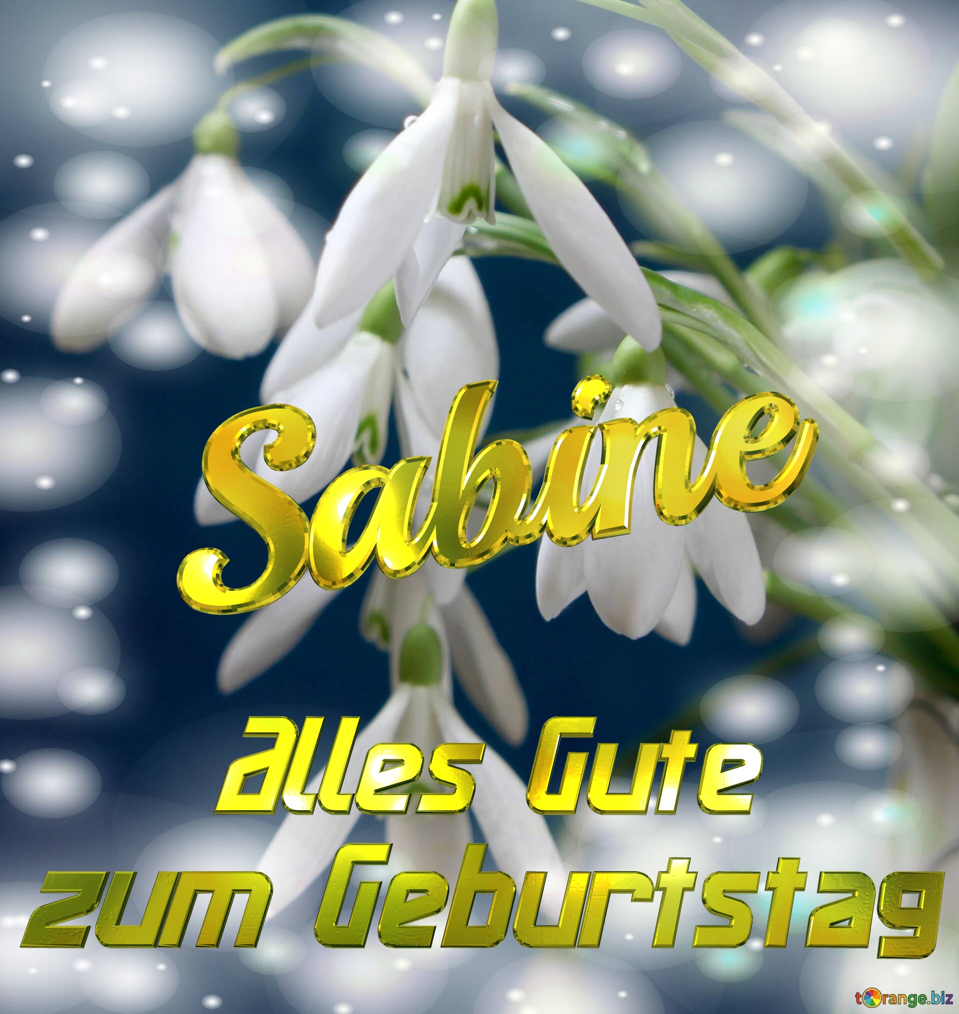 Sabine Alles Gute  zum Geburtstag Blumenstrauß von Frühlingsblumen №0