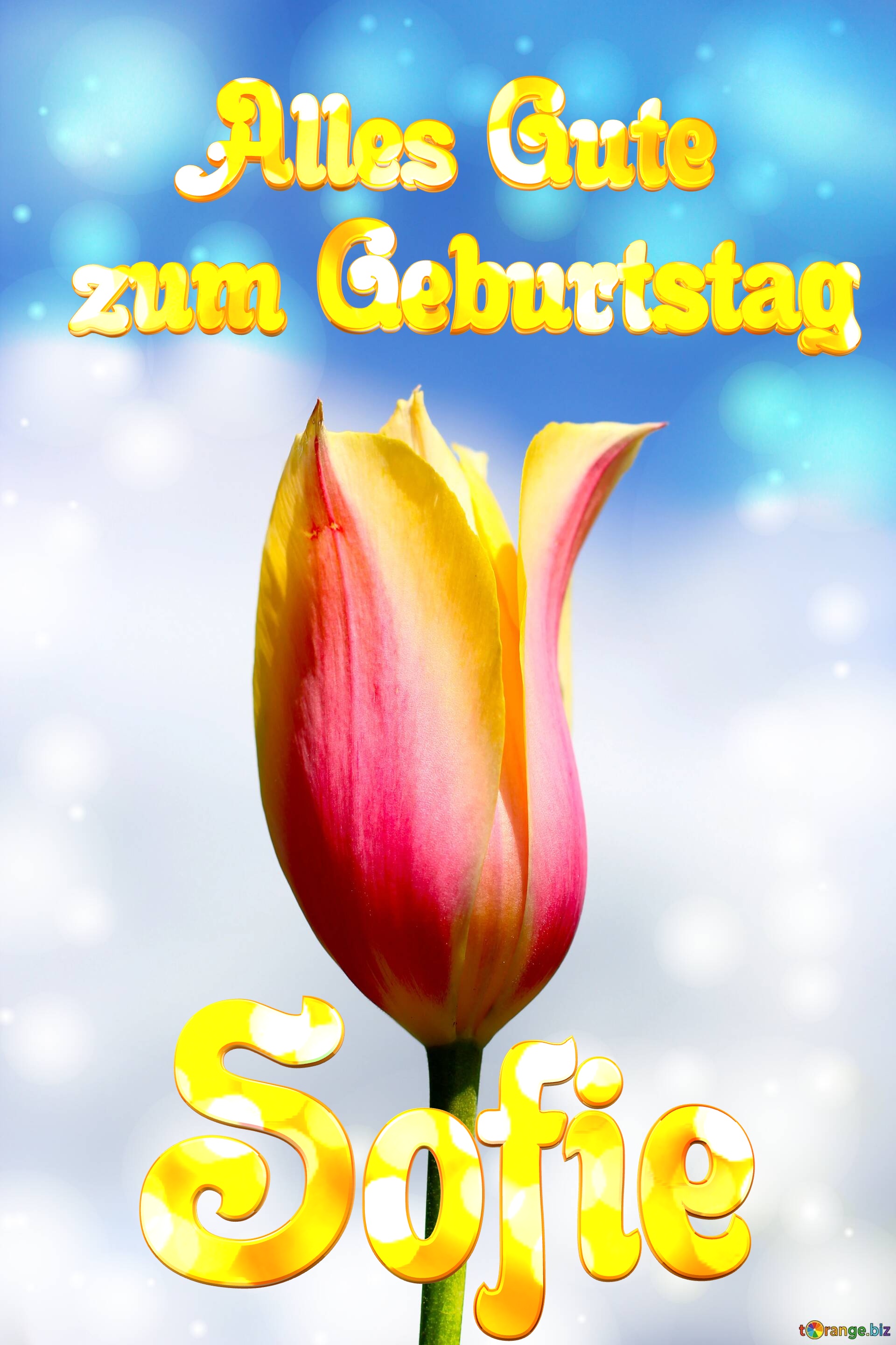 Sofie Alles Gute  zum Geburtstag Blume der Tulpe №0