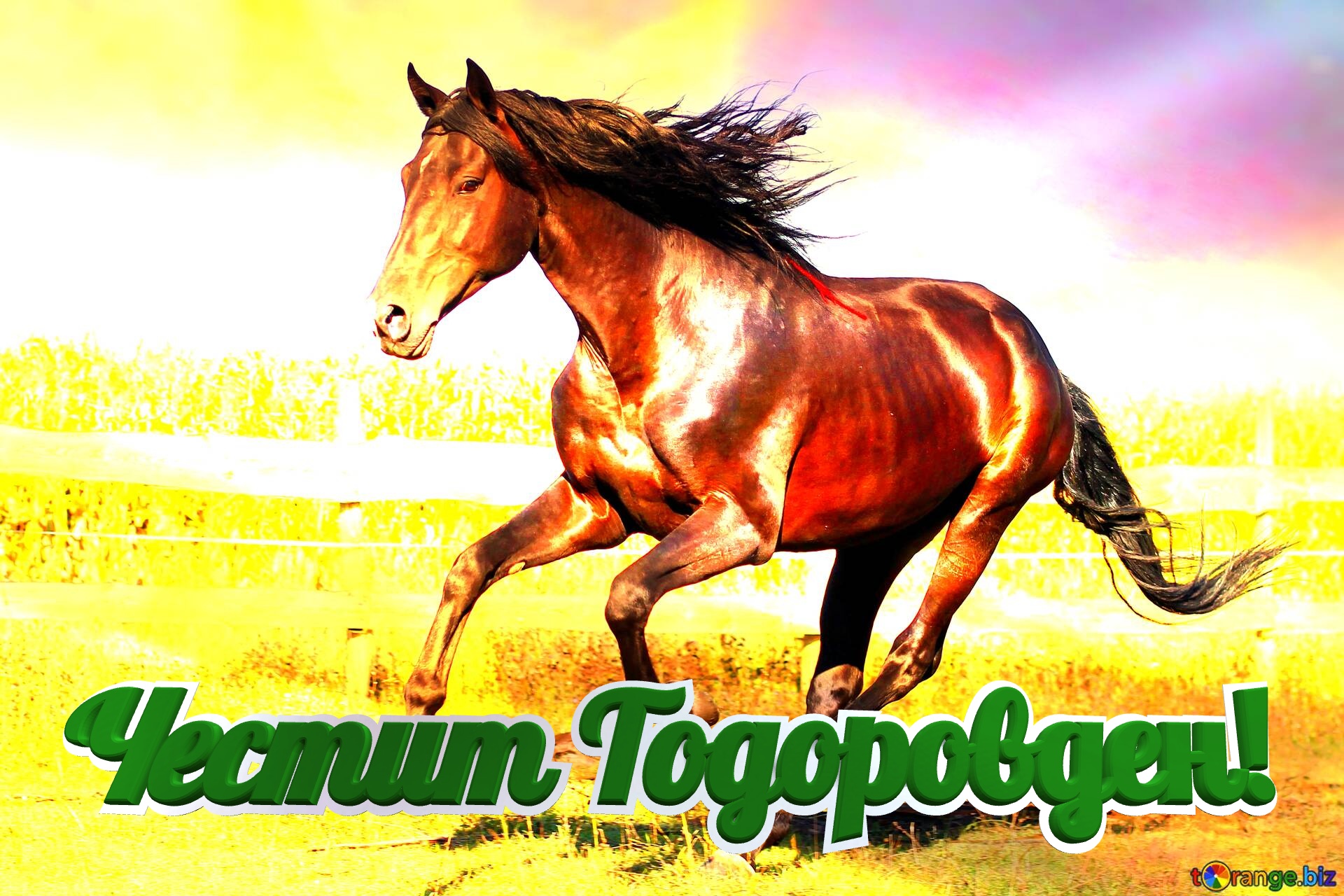 Честит Тодоровден!  Horse art background №0