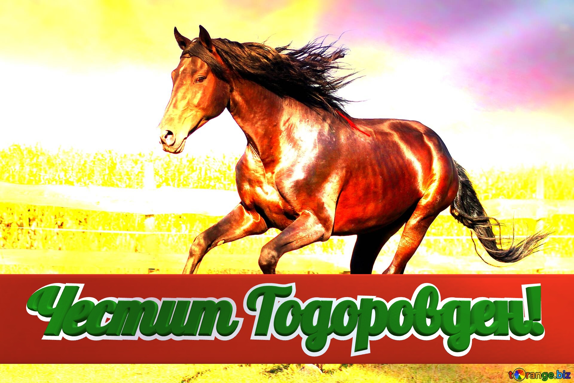 Честит Тодоровден!   Horse art background №0