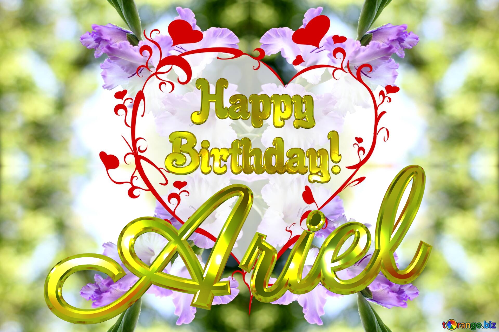 Images Happy Birthday! Ariel The best image. Images for cards the flower gladiolus. №0