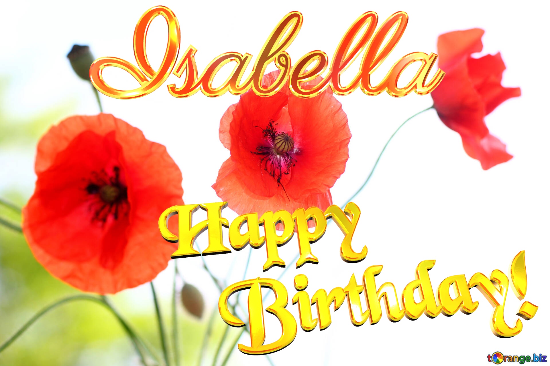 Poppy Isabella Happy Birthday! Beautiful wallpapers for desktop poppy №37060