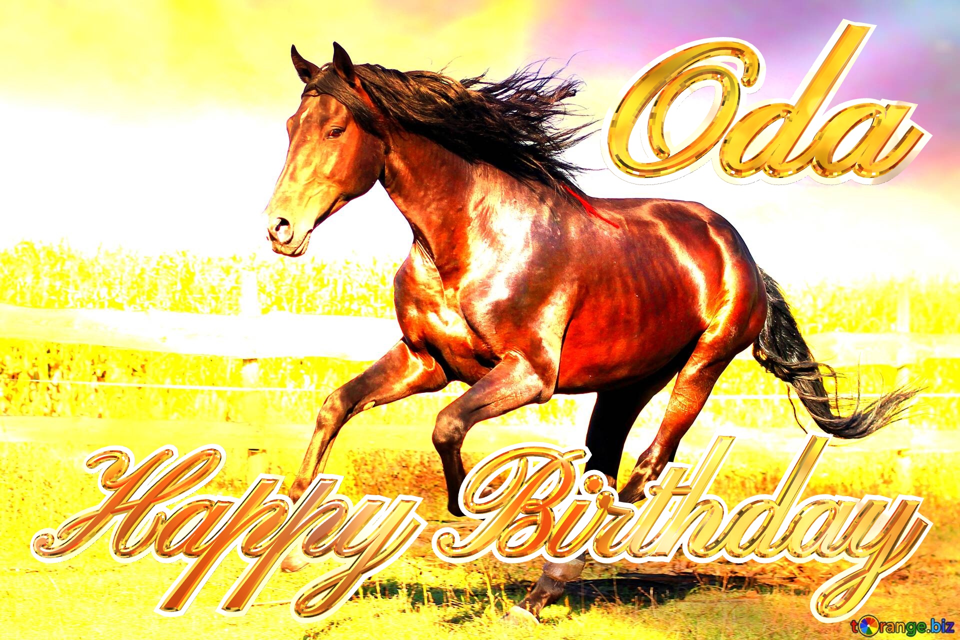 Happy Birthday Oda Horse Card Horse art background №0