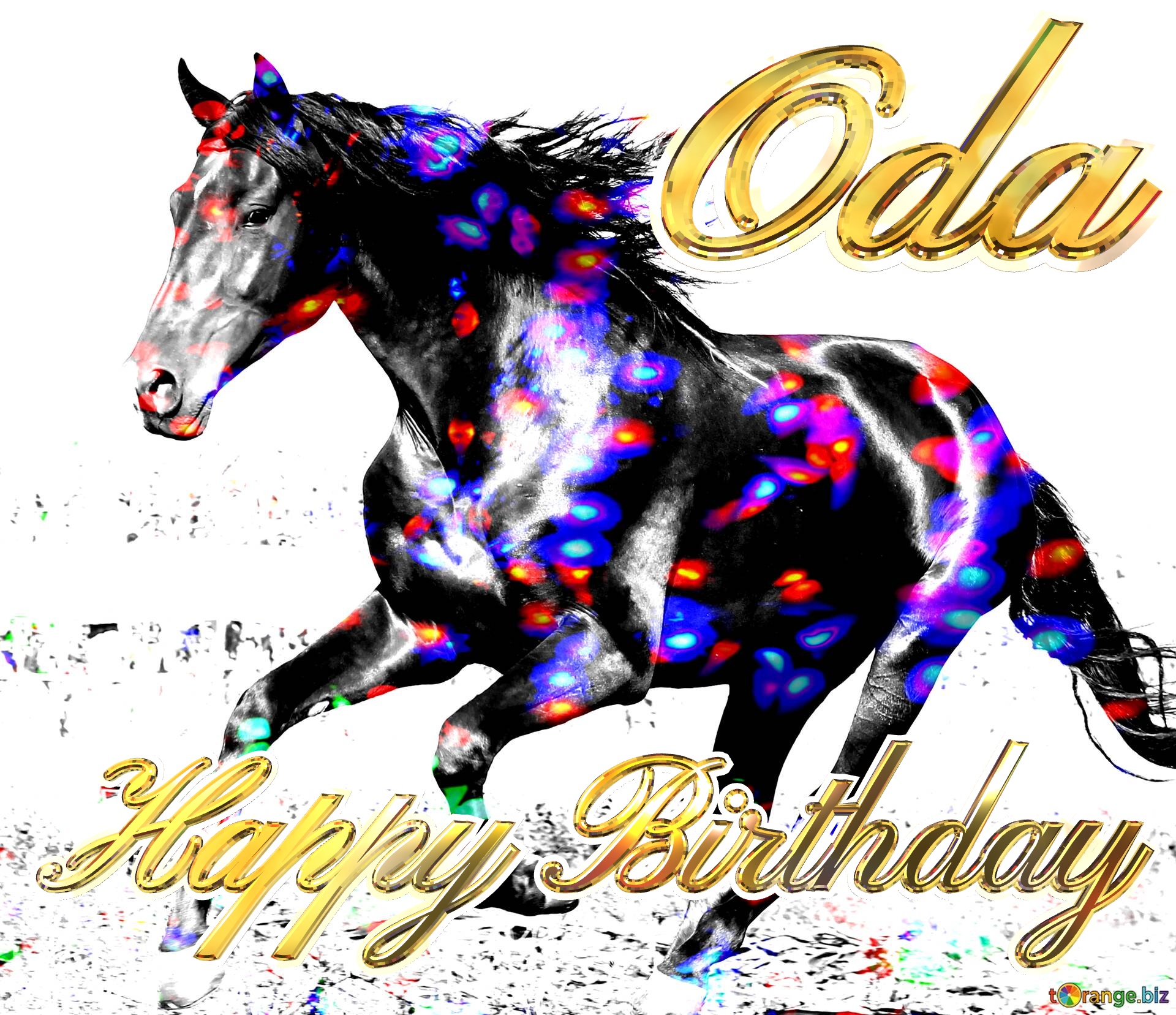 Oda Horse Happy Birthday Card Pferdefarbene Lichter №0