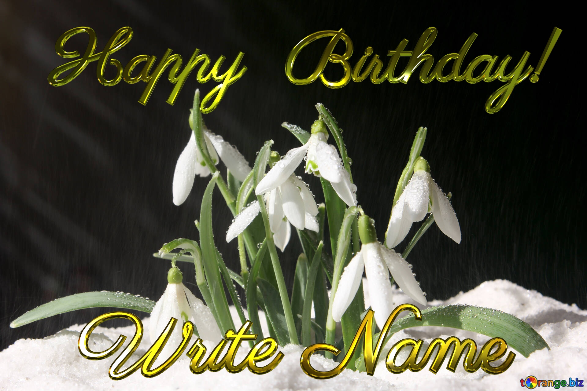 Spring Flowers Editable Happy Birthday! Write Name Early spring №38252