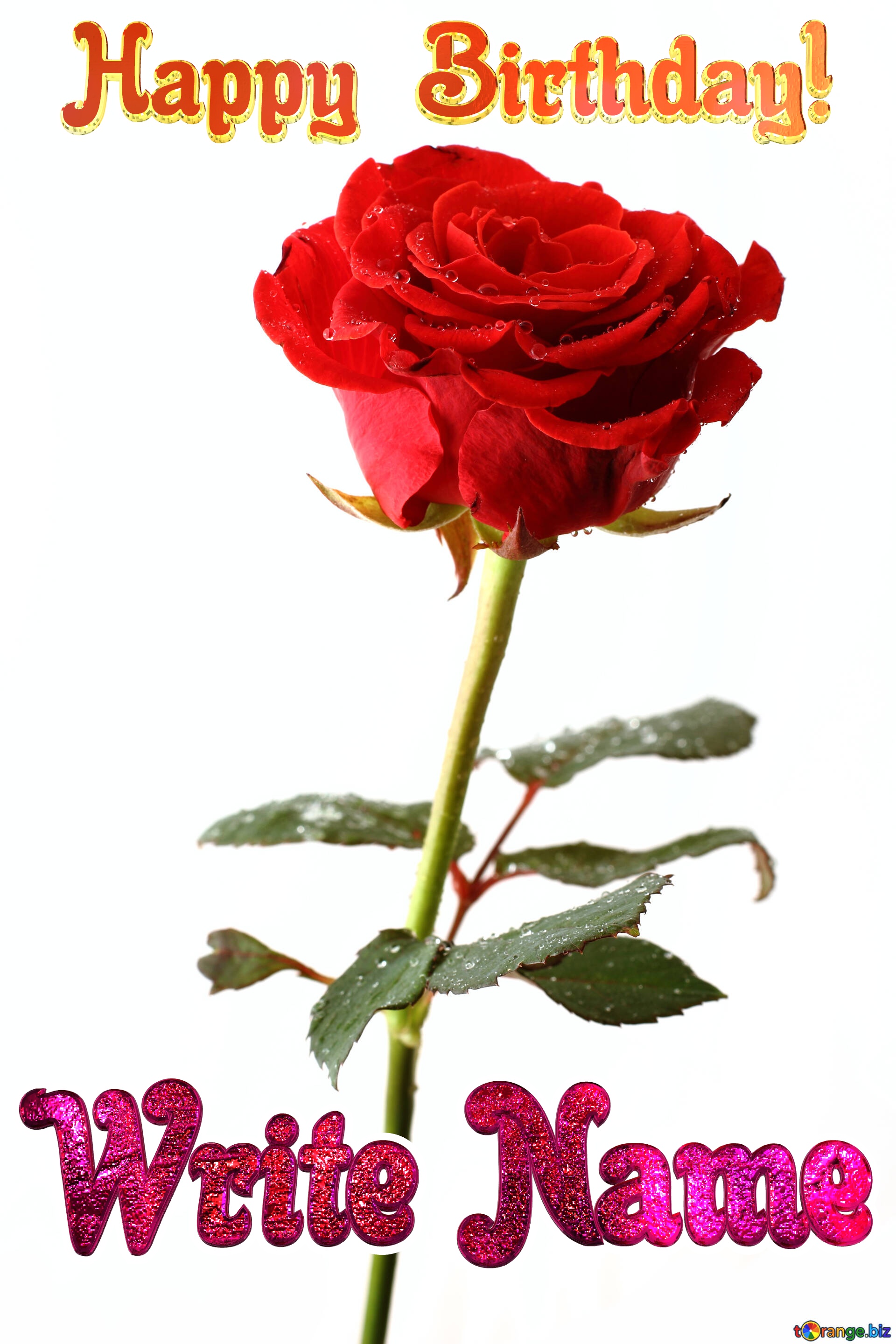 Rose Happy Birthday! Editable Name Card Elegant Rose №17038