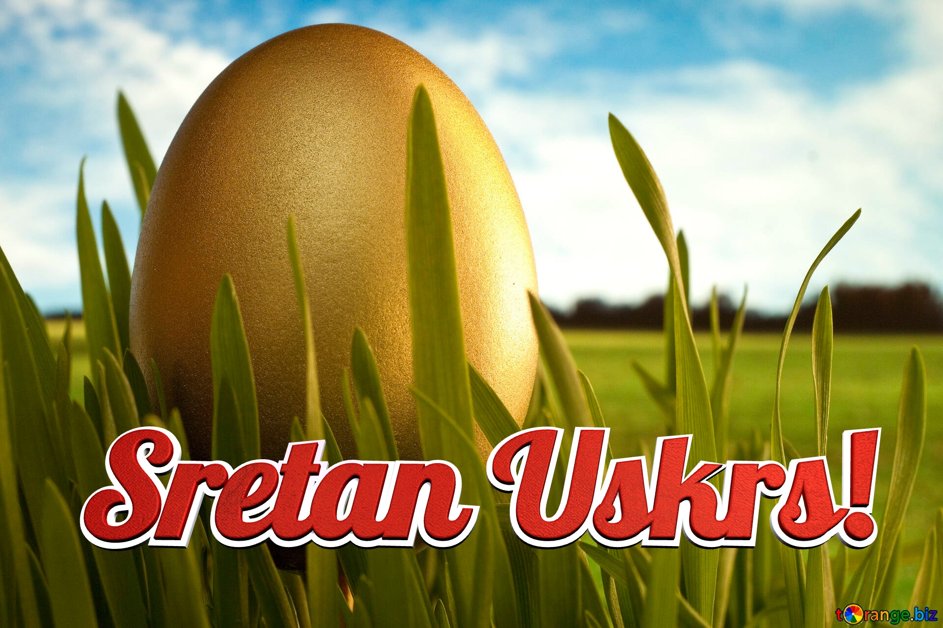 Sretan Uskrs!  Gold  Egg   grass №8132