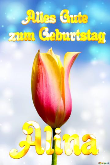 Alina Alles Gute  Zum Geburtstag Blume Der Tulpe