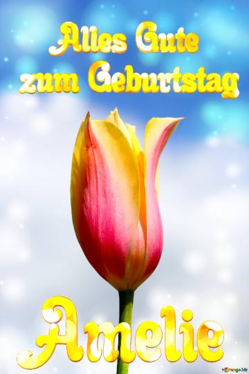 Amelie Alles Gute  Zum Geburtstag Blume Der Tulpe