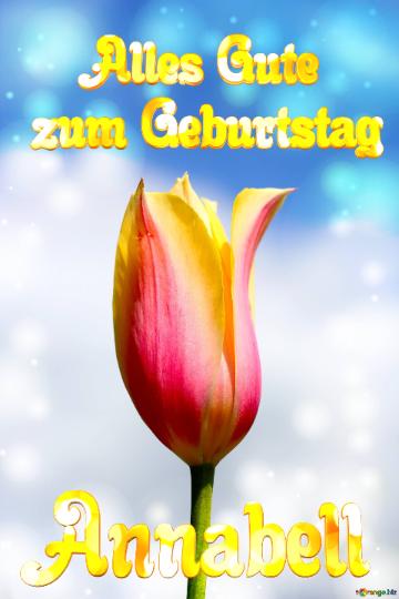 Annabell Alles Gute  zum Geburtstag Blume der Tulpe