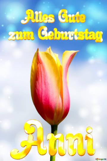 Anni Alles Gute  zum Geburtstag Blume der Tulpe