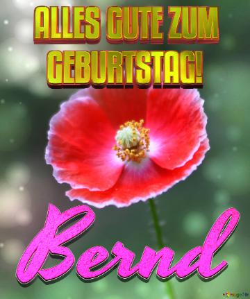 Geburtstag Bernd Blue Poppy Card Background