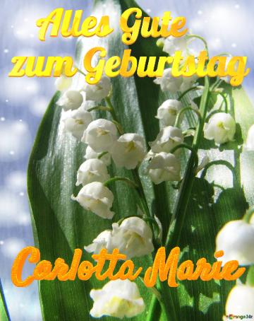 Marie Alles Gute  Zum Geburtstag Carlotta Maiglöckchen