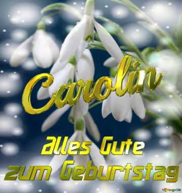 Carolin Alles Gute  Zum Geburtstag Blumenstrauß Von Frühlingsblumen