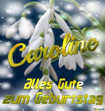 Caroline Alles Gute  Zum Geburtstag Blumenstrauß Von Frühlingsblumen
