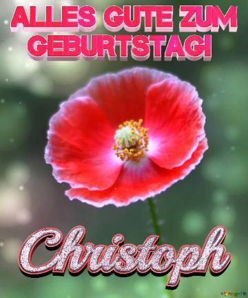 Geburtstag Christoph Blue Poppy Card Background