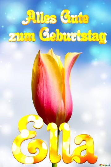 Ella Alles Gute  Zum Geburtstag Blume Der Tulpe