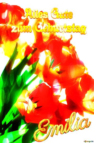 Emilia Alles Gute  Zum Geburtstag Bouquet Of Fire  Tulips