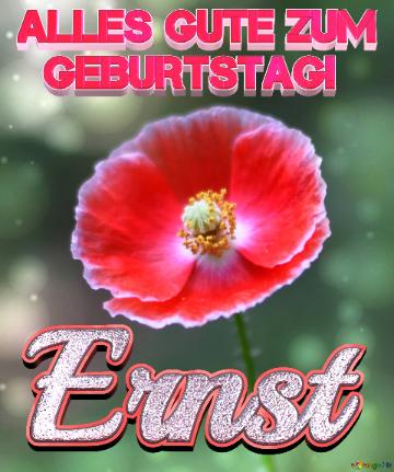 Geburtstag Ernst Blue Poppy Card Background