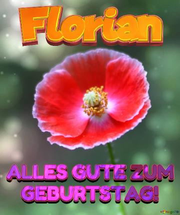 Geburtstag Florian