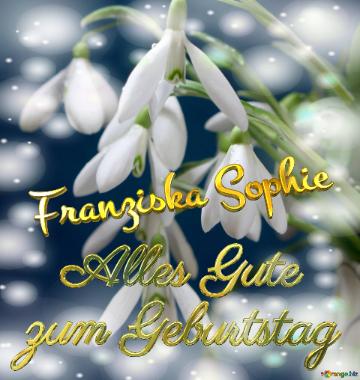 Franziska Sophie Alles Gute  Zum Geburtstag Blumenstrauß Von Frühlingsblumen