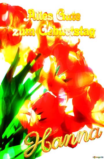 Hanna Alles Gute  Zum Geburtstag Bouquet Of Fire  Tulips