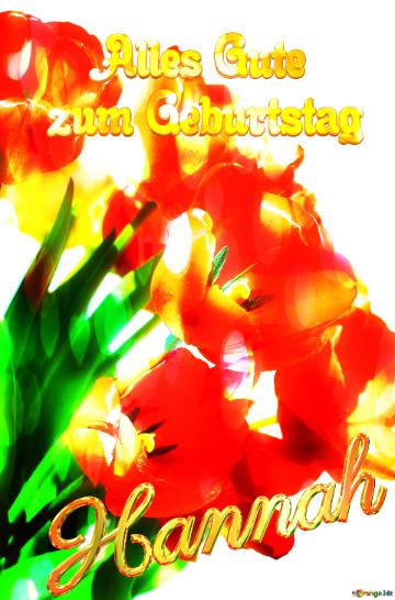 Hannah Alles Gute  Zum Geburtstag Bouquet Of Fire  Tulips