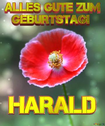 Geburtstag Harald Blue Poppy Card Background