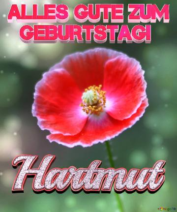 Geburtstag Hartmut Blue Poppy Card Background