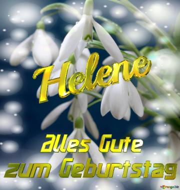 Helene Alles Gute  Zum Geburtstag Blumenstrauß Von Frühlingsblumen