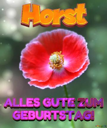 Geburtstag Horst Blue Poppy Card Background