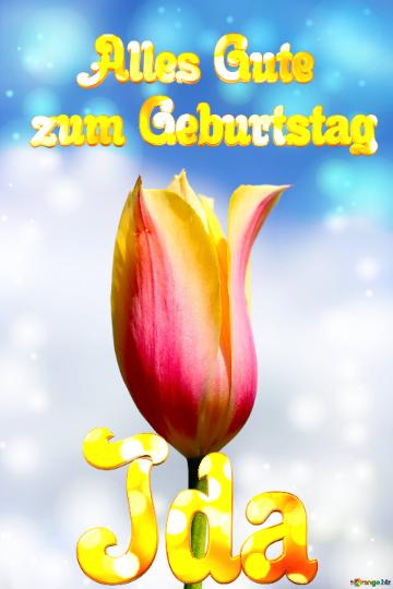 Ida Alles Gute  Zum Geburtstag Blume Der Tulpe