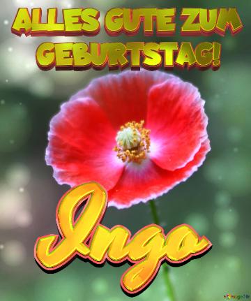 Geburtstag Ingo Blue Poppy Card Background
