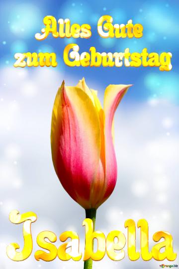 Isabella Alles Gute  zum Geburtstag Blume der Tulpe