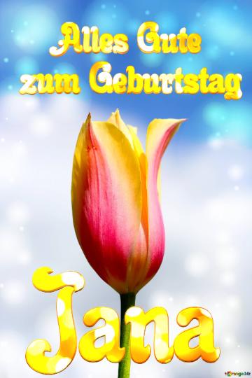 Jana Alles Gute  zum Geburtstag Blume der Tulpe