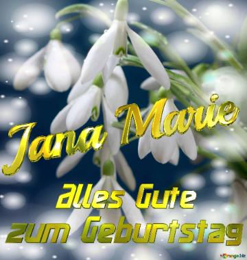 Jana Marie Alles Gute  Zum Geburtstag Blumenstrauß Von Frühlingsblumen