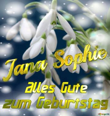 Jana Sophie Alles Gute  Zum Geburtstag Blumenstrauß Von Frühlingsblumen