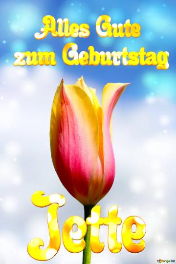 Jette Alles Gute  zum Geburtstag Blume der Tulpe