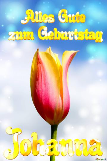 Johanna Alles Gute  Zum Geburtstag Blume Der Tulpe