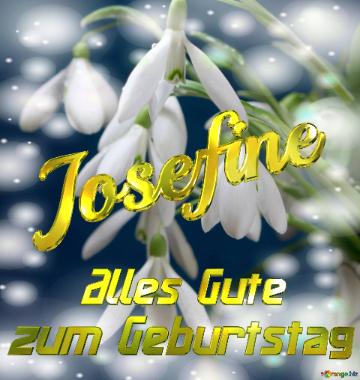 Josefine Alles Gute  Zum Geburtstag Blumenstrauß Von Frühlingsblumen