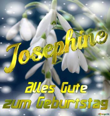 Josephine Alles Gute  Zum Geburtstag Blumenstrauß Von Frühlingsblumen
