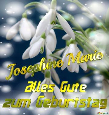 Josephine Marie Alles Gute  Zum Geburtstag Blumenstrauß Von Frühlingsblumen
