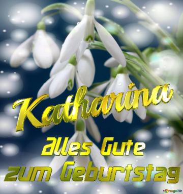 Katharina Alles Gute  Zum Geburtstag Blumenstrauß Von Frühlingsblumen