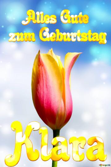Klara Alles Gute  Zum Geburtstag Blume Der Tulpe