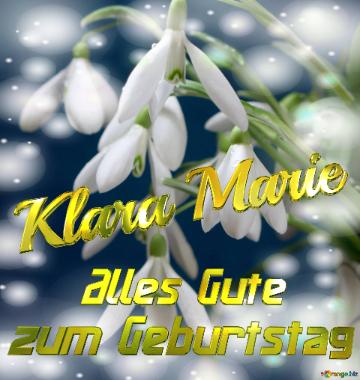 Klara Marie Alles Gute  Zum Geburtstag Blumenstrauß Von Frühlingsblumen