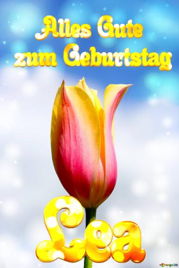 Lea Alles Gute  Zum Geburtstag Blume Der Tulpe