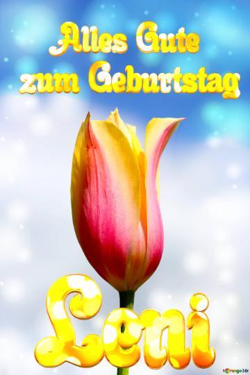 Leni Alles Gute  Zum Geburtstag Blume Der Tulpe