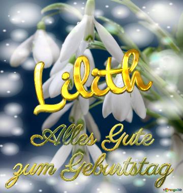 Lilith Alles Gute  Zum Geburtstag Blumenstrauß Von Frühlingsblumen
