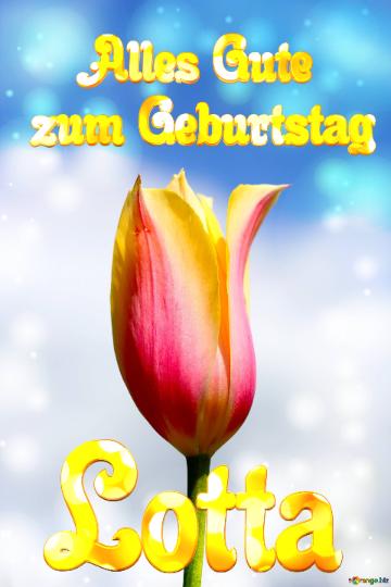 Lotta Alles Gute  zum Geburtstag